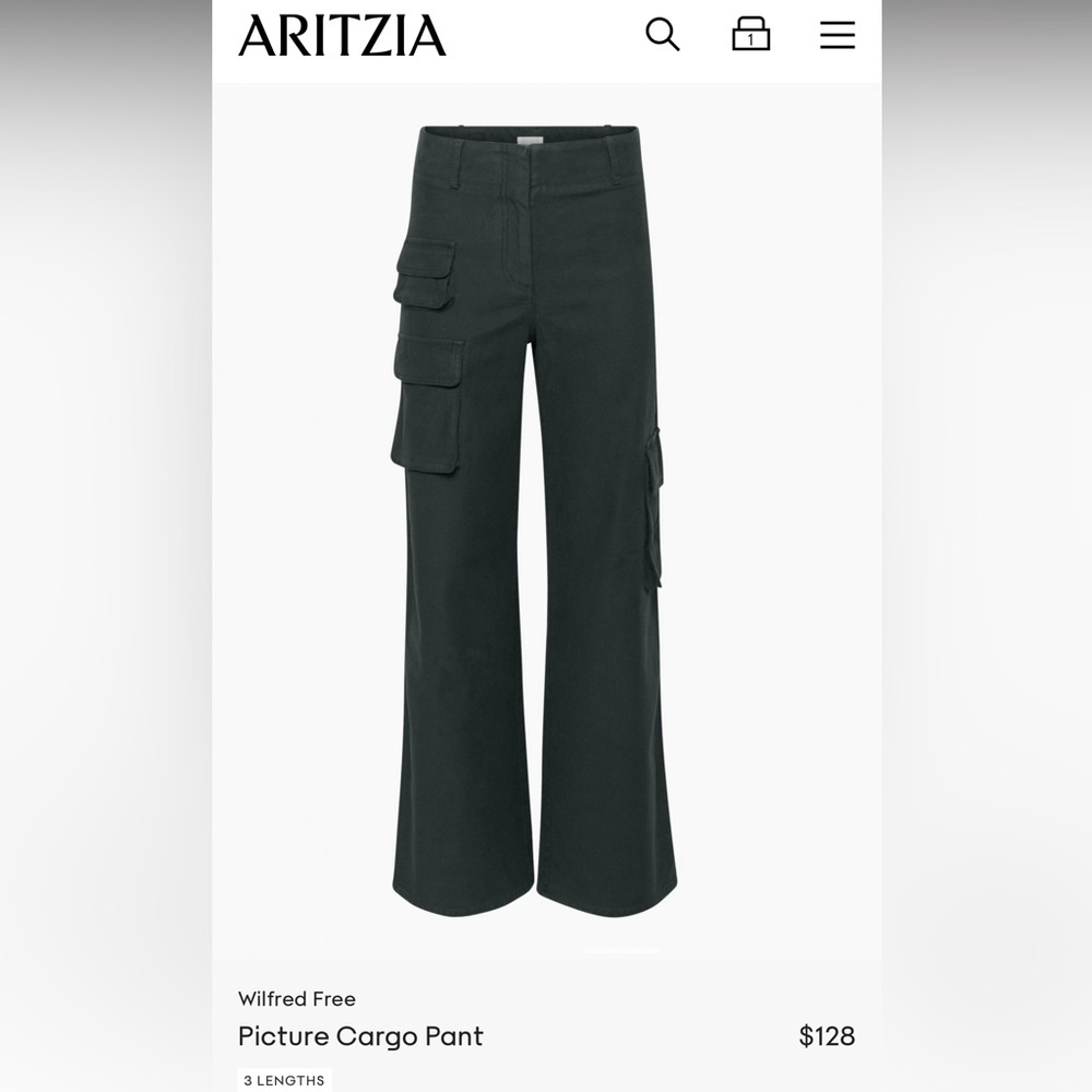 Aritzia Picture Pants / cargos